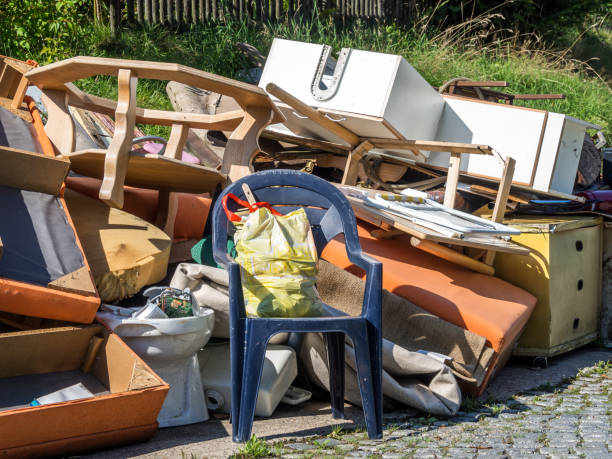 Best Junk Hauling Services  in Danvers, IL
