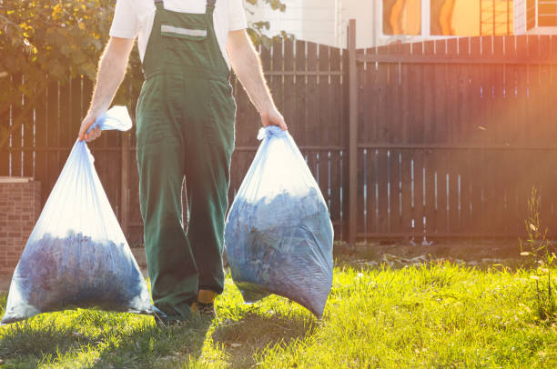 Best Construction Debris Removal  in Danvers, IL