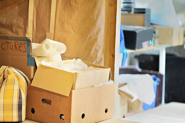 Best Same-Day Junk Removal  in Danvers, IL